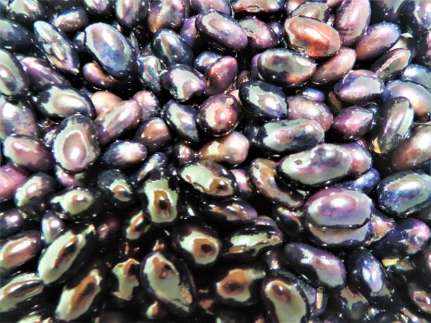 istock Black beans turned into gems by lighing 1155183661