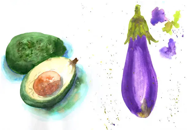 Watercolor hand drawn sketch illustration of avocado and eggplant on white background