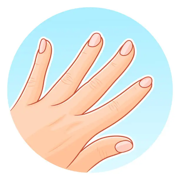 Vector illustration of Healthy nails