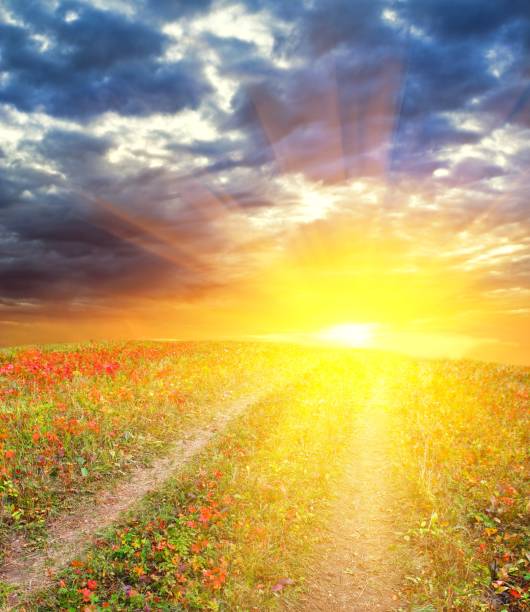 istock majestic sunset in a autumn steppe 1155195707