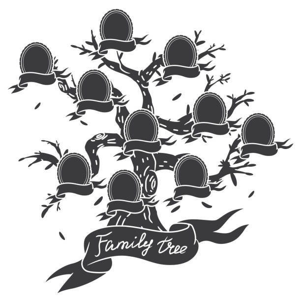 Family tree black silhouette vector template isolated on a white background. Family tree black silhouette vector template. family tree chart template stock illustrations