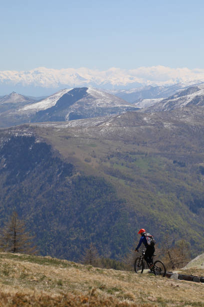 istock Female mountain biker descends grassy hill 1155201293