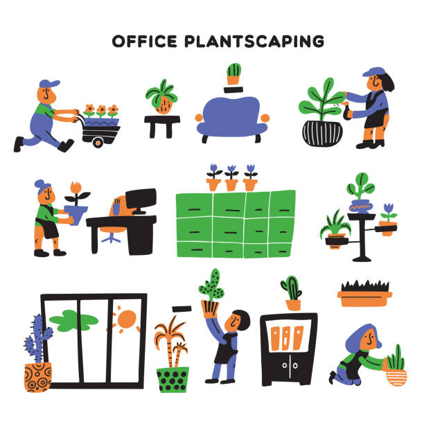 ilustrações de stock, clip art, desenhos animados e ícones de vector hand drawn illustration of gardeners, taking care about office plants. office plantscaping concept. - vehicle interior green sofa indoors