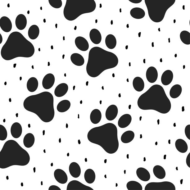 Pet Paw Seamless Pattern Background Animal Vector Illustration koala walking stock illustrations