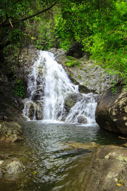 istock Waterfalls in nature flow through large rocks 1155202801