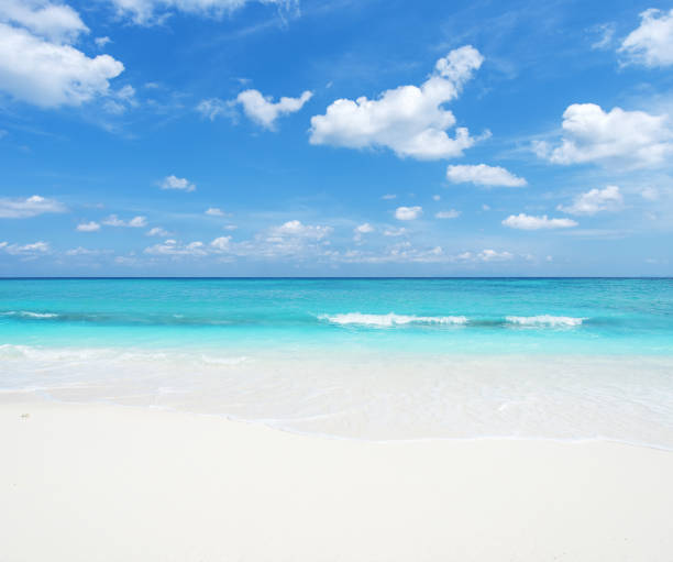 istock Tropical seascape and clear sky 1155202856