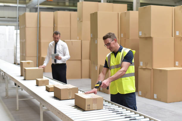 istock Worker in a warehouse in the logistics sector processing packages on the assembly line  - transport and processing of orders in trade 1155203244