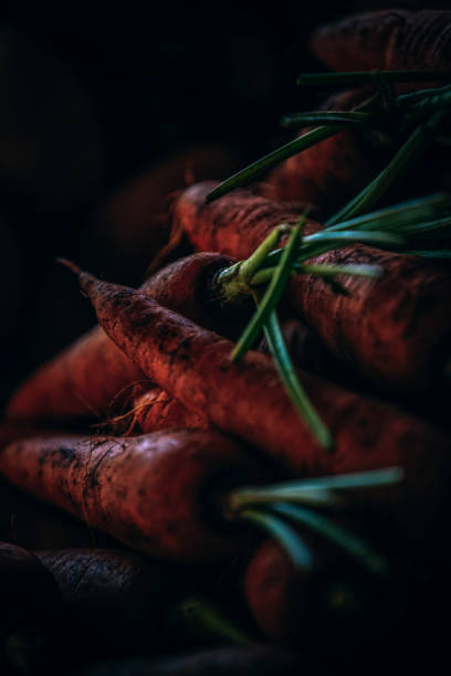 Close-up Shot of Fresh Carrots stock photo