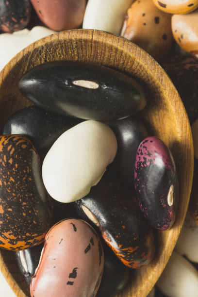istock Colorful Beans and Wooden Spoon on Rustic Dark Background 1155206645