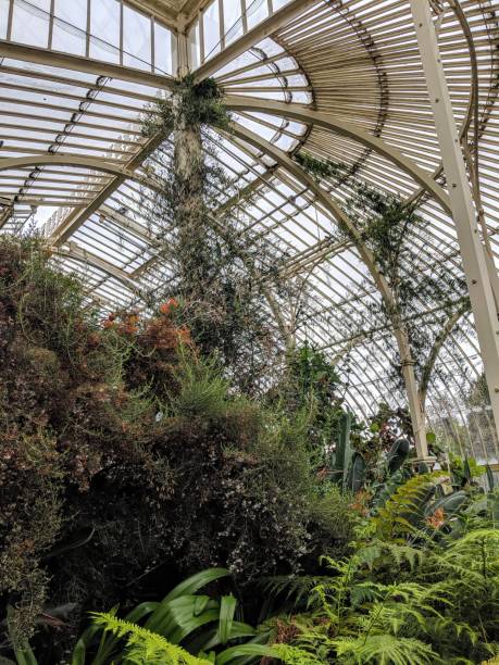 istock Greenhouse indoors 1155208598