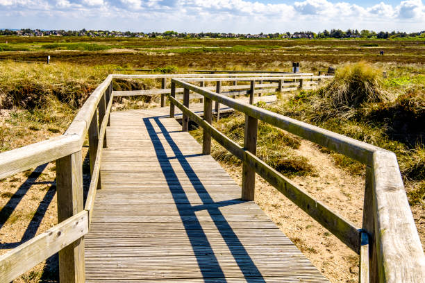 pfad an den dünen - north holland stock-fotos und bilder