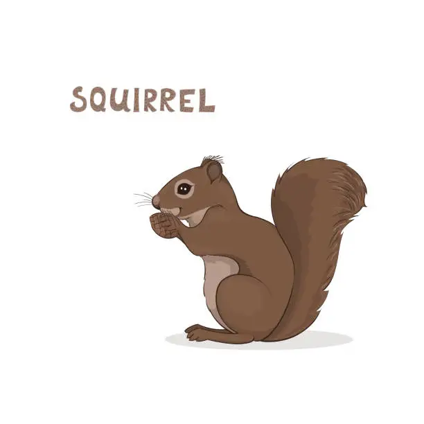 Vector illustration of A cartoon cute squirrel, isolated on a white background. Animal alphabet.