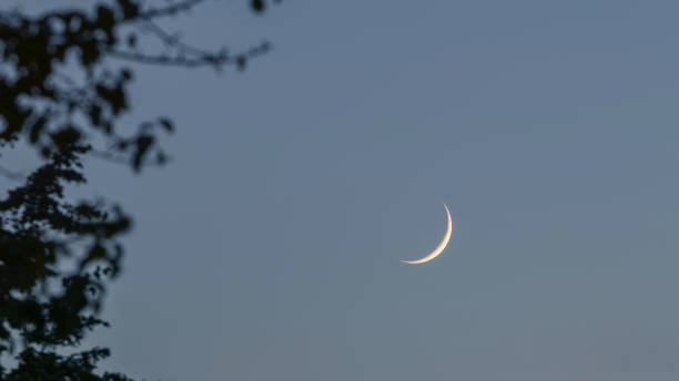 istock Crescent moon on the night sky. Crescent moon tree leaves 1155210231