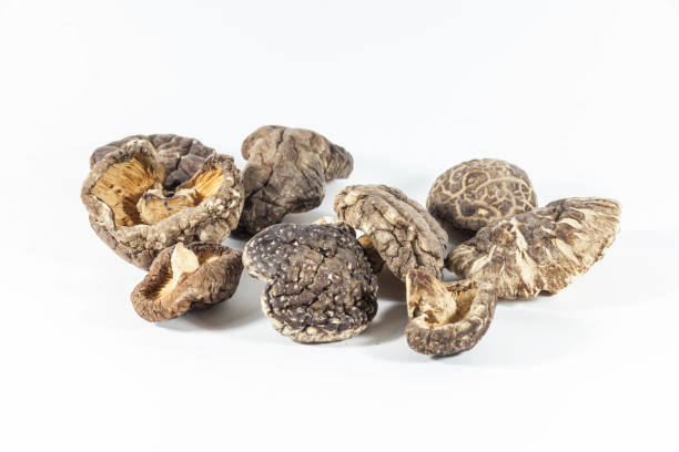 istock Dried mushroom in a white isolated background 1155210968