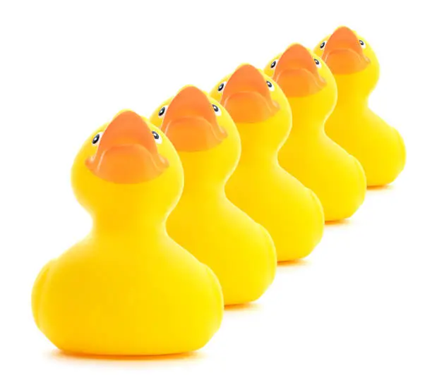 Photo of Rubber Ducks In A Row