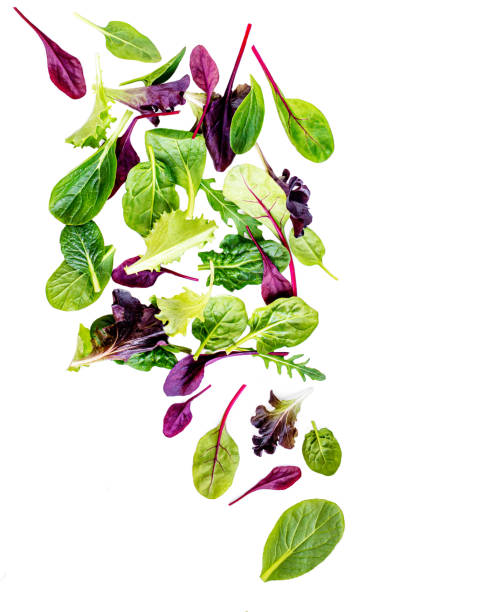 foglie di insalata volanti isolate su sfondo bianco. insalata mista fresca con rucola, lattuga, spinaci e foglie di barbabietole. - lettuce endive abstract leaf foto e immagini stock