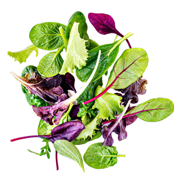 salad mix with rucola, frisee, radicchio, chard and lamb's lettuce. green salad isolated on white background - lettuce endive abstract leaf imagens e fotografias de stock