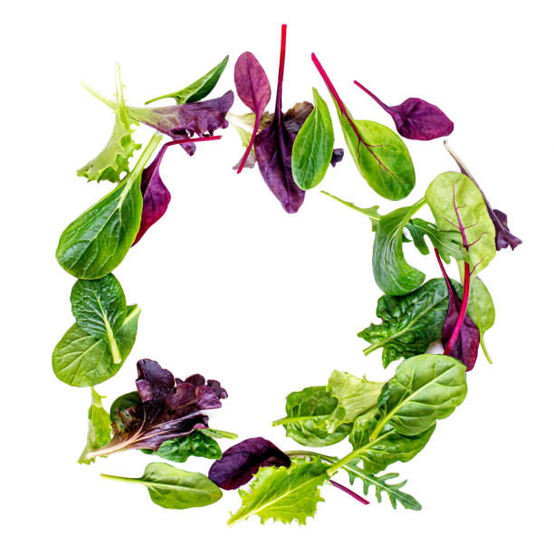 Salad Mix  isolated on white background. Food Frame made of Fresh  salad with arugula, lettuce, chard, spinach and beets leaf. Salad Mix  isolated on white background. Food Frame made of Fresh  salad with arugula, lettuce, chard, spinach and beets leaf. arugula falling stock pictures, royalty-free photos & images