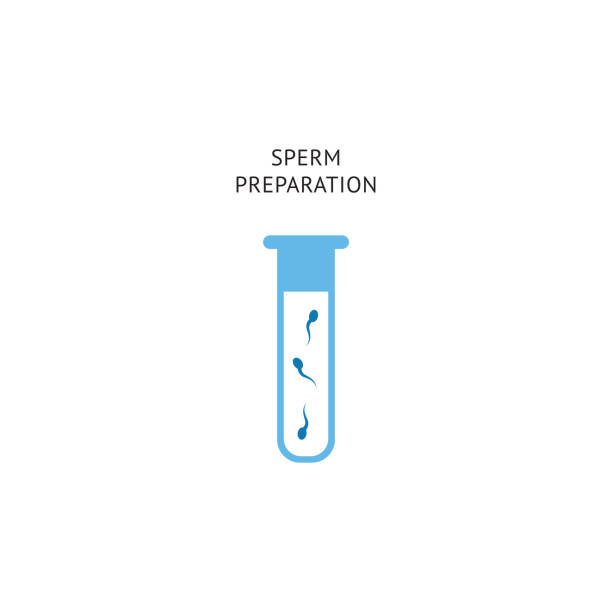 illustrazioni stock, clip art, cartoni animati e icone di tendenza di procedura di preparazione dello sperma per la fecondazione. icona del tubo di laboratorio con cella di fertilità umana per inseminazione e fecondazione in vitro - human sperm pregnancy test artificial insemination human pregnancy