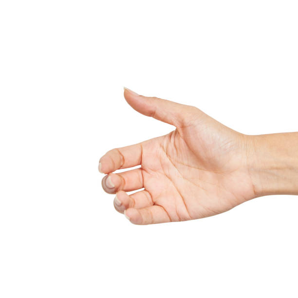 istock Empty female woman hand holding isolated on white, clipping path 1155219549