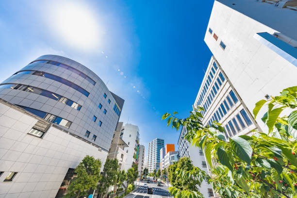 istock Fresh green and buildings 1155221036
