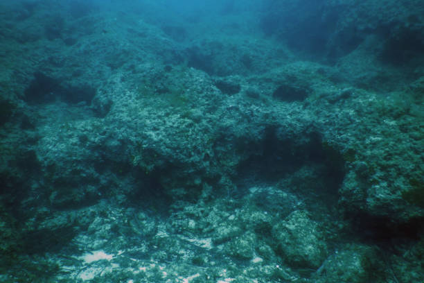 istock Sea Life Underwater Rocks Sunlight, Underwater Life 1155221798