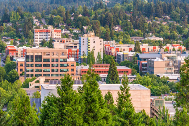 istock Eugene, Oregon, USA Skyline 1155222350