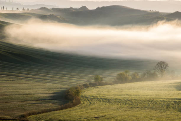 istock sunrise over the fields in Tuscany 1155225259