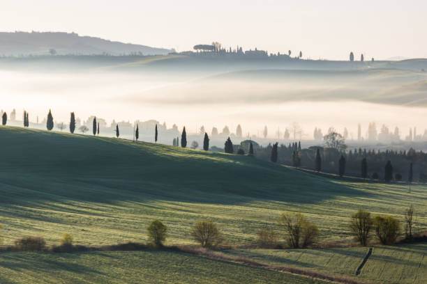 istock sunrise over the fields in Tuscany 1155225269