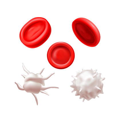 Isolated Blood Cells Set in Realistic Style