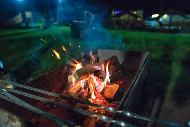 istock Wood burning in an old rusty grill 1155227365