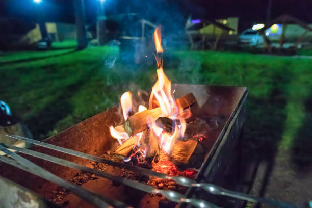 istock Wood burning in an old rusty grill 1155227461