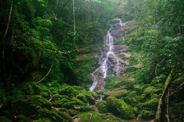istock A small waterfall in the woods natural 1155229525