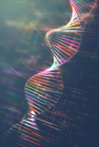 DNA Genetic Code Colorful Image of genetic codes DNA. Concept image for use as background. Colored 3D illustration. chromosome photos stock pictures, royalty-free photos & images