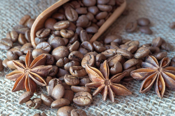 istock Roasted coffee beans, star anise and cinnamon 1155234322