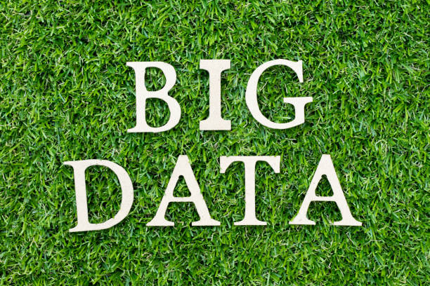 istock Wood alphabet letter in word big data on green grass background 1155235465