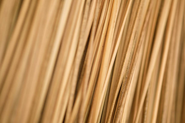 istock macro photography of patterns and textures 1155235785