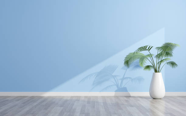istock View of sun light cast the shadow on blue empty wall and wood laminate floor with white ceramic vase of green plant. 3D rendering 1155236038