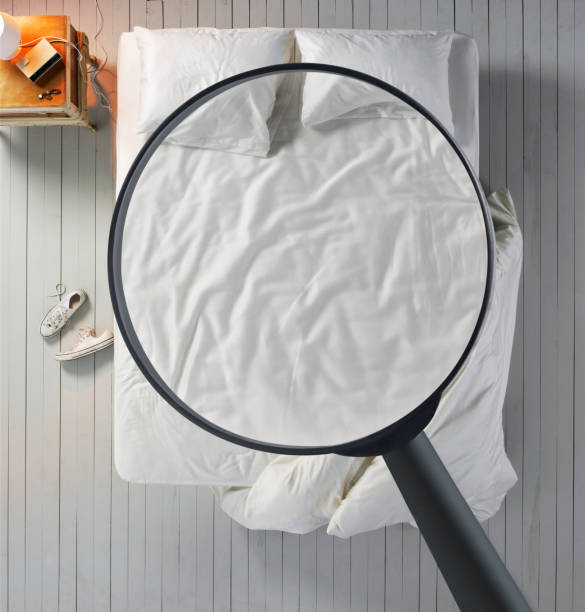 Inspecting comfy bed Looking at comfortable bed with magnifying glass double bed photos stock pictures, royalty-free photos & images