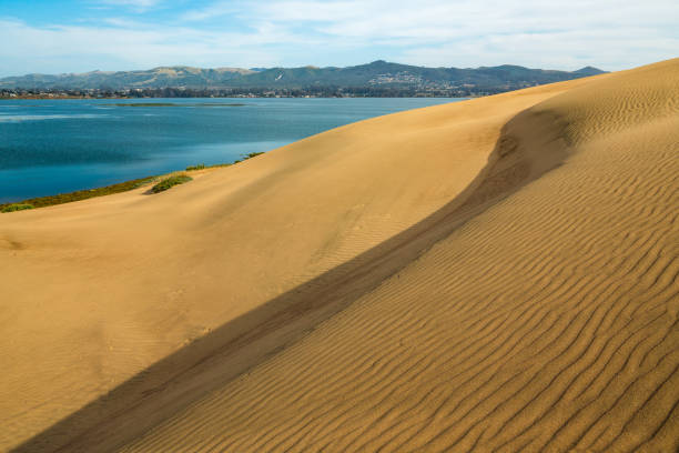 dunes de sable sur la plage. eau bleue, ciel bleu et sable doré - san luis obispo county photos et images de collection