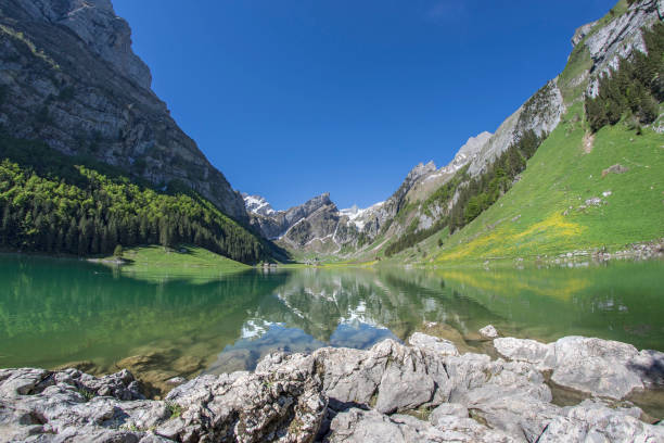Lake Seealpsee with mountain Säntis Appenzell Alps Switzerland Lake Seealpsee with mountain Säntis Appenzell Alps Switzerland appenzell stock pictures, royalty-free photos & images