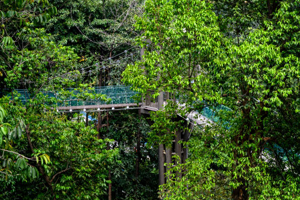 istock Outdoor  bridge in a park 1155240332