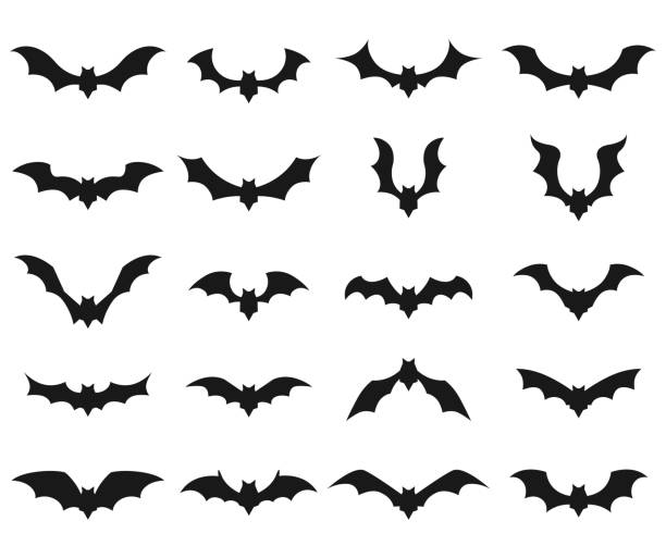 illustrations, cliparts, dessins animés et icônes de ensemble d’icônes de vecteur de chauve souris - bats