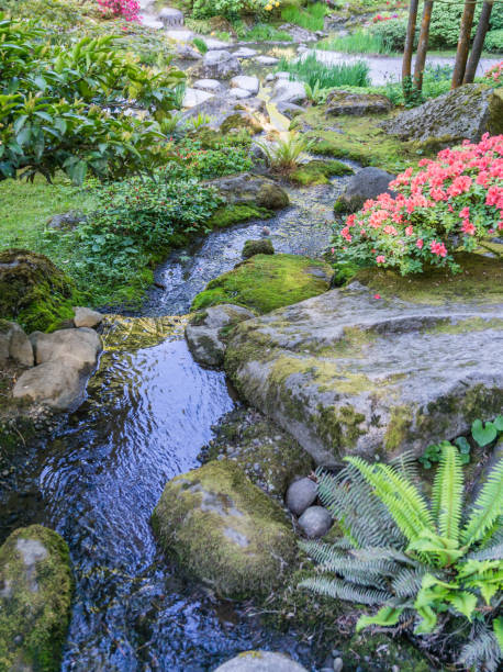istock Colorful Garden And Stream 4 1155242716