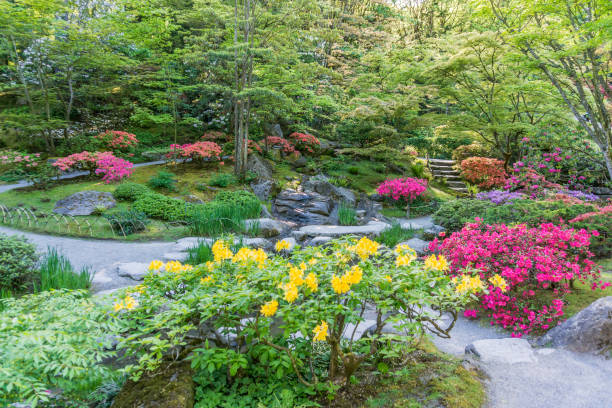 istock Garden In Full Bloom 4 1155242739