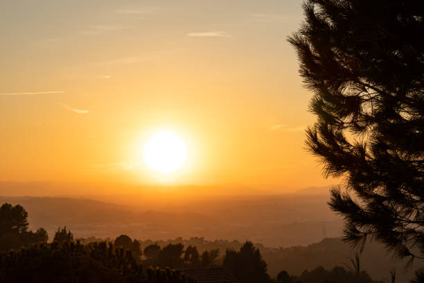 istock View of the sunset with tree silhouettes and orange sky 1155242807