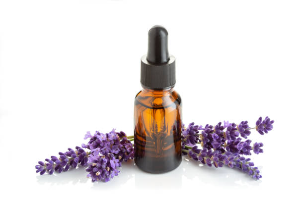 huile essentielle de lavande d’isolement sur le blanc - lavender isolated lavender coloured environment photos et images de collection