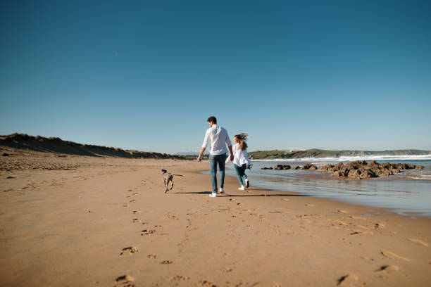 istock Young couple with a puppy dog at a beach 1155252871