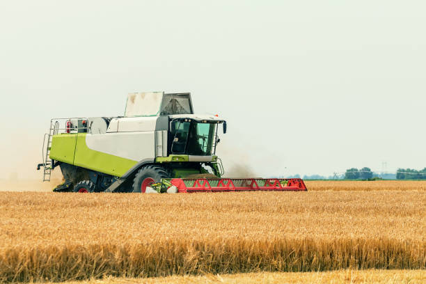 istock Combine harvester working on a wheat field. Harvesting wheat. 1155255324