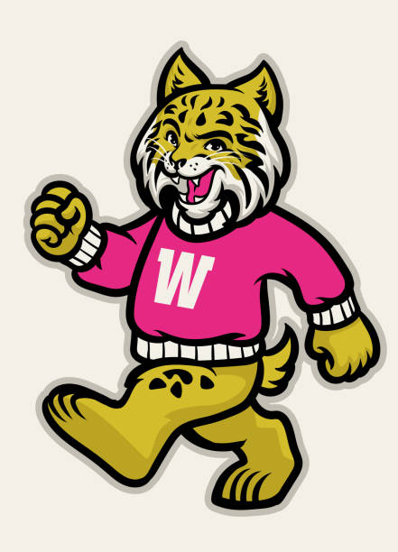 wildcats школы спортивный талисман - американская рысь stock illustrations